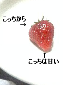 itigo.bmp