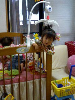 img20060627_1.jpg