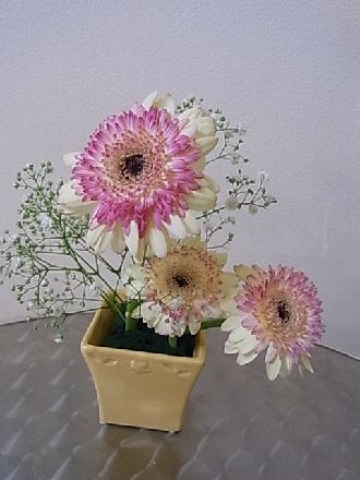 rimg0033.jpg