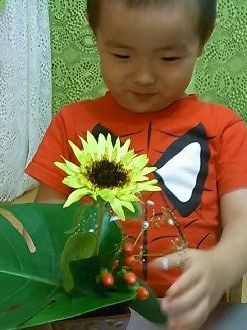 rimg0017.jpg