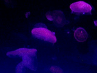 img20070925_3.jpg