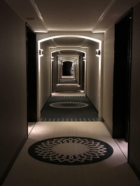 received_1677988845586337