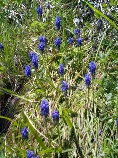 img20070501_2.jpg