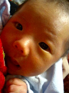 img20060411_1.jpg