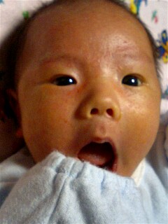 img20060411.jpg