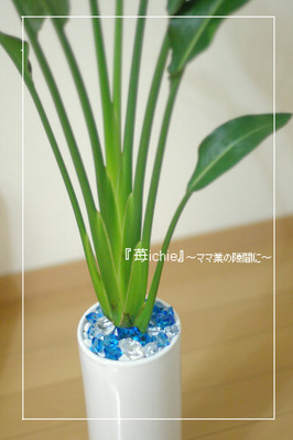 BlogPaint