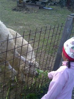 img20081120_5.jpg