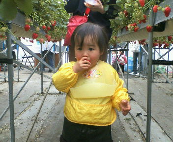 200603161318000.jpg
