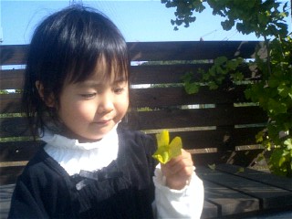 img20071124_8.jpg