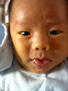 img20060411_2.jpg