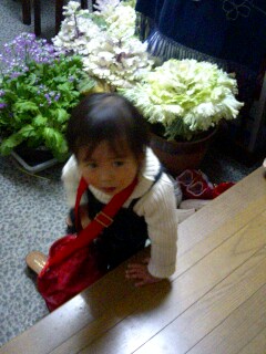 img20060402_4.jpg