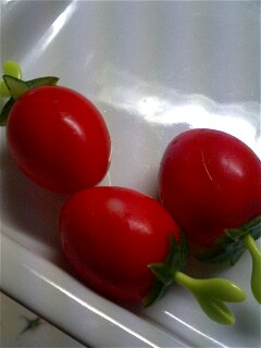 img20080319_2.jpg
