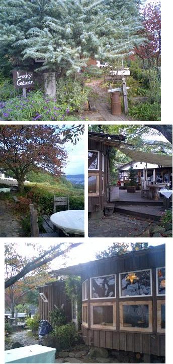 lukkygarden.jpg