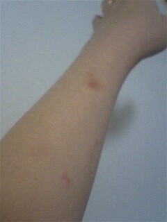 img20070330.jpg