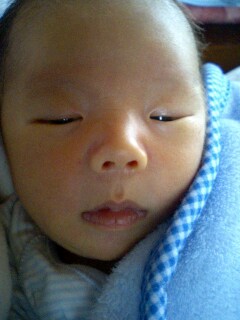 img20060403.jpg