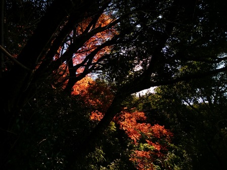 [画像:9b492947-s.jpg]