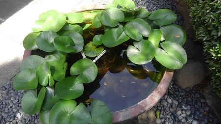 KIMG0103