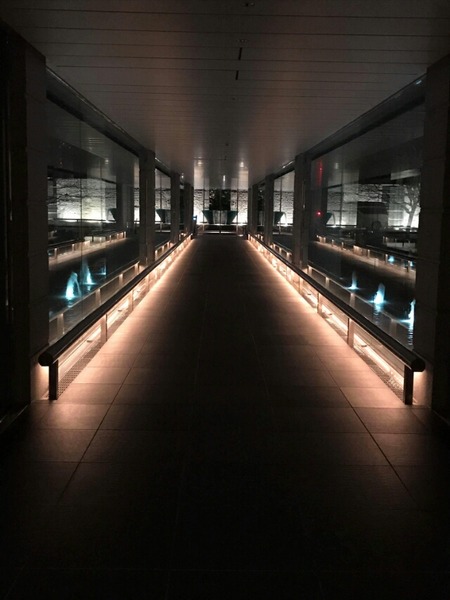 received_1677988835586338