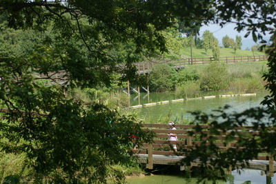 IMGP1470