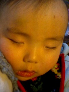 img20070202_6.jpg