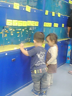 img20051010_4.jpg