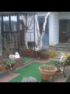 img20060309.jpg