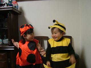 img20060216_3.jpg