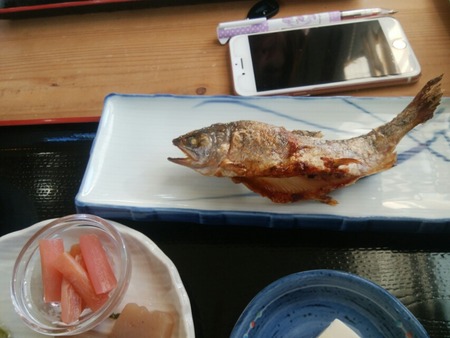 [画像:c6d8303c-s.jpg]