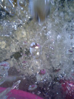 img20080810_1.jpg