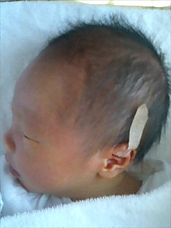 img20060317_1.jpg