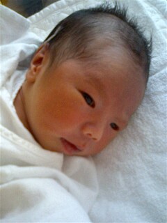 img20060320.jpg