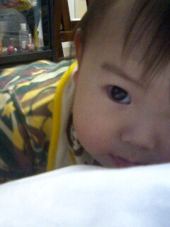 img20070330_1.jpg
