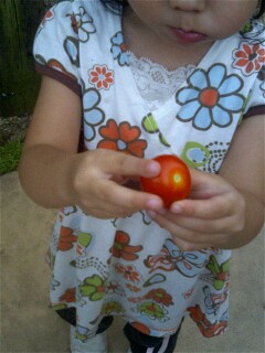 img20080716_1.jpg