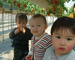 img20060223.bmp