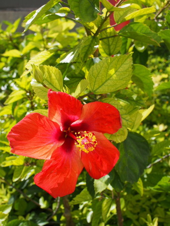 P6200095