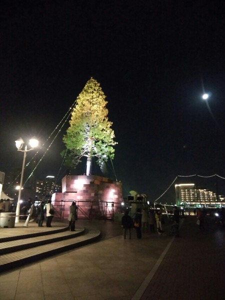 [画像:e0c55a2e-s.jpg]