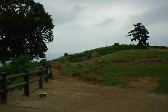 imgp2094.jpg
