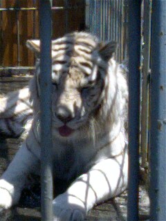 img20070501_1.jpg
