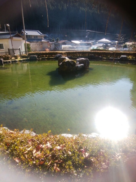 [画像:e487f7f8-s.jpg]