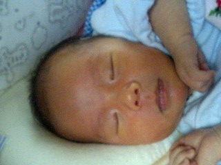 img20060403_1.jpg