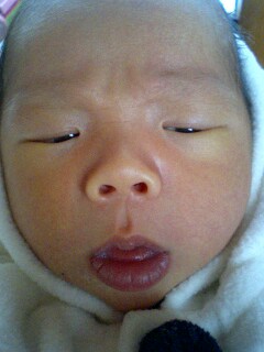img20060403_5.jpg