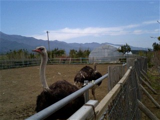 img20060429.jpg