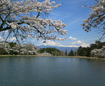 img20060429_3.jpg