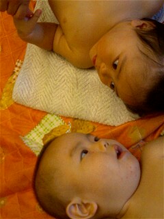 img20071007_2.jpg