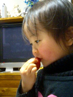 img20060414_4.jpg