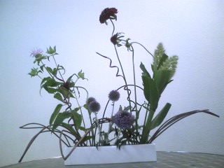 img20090701_3.jpg