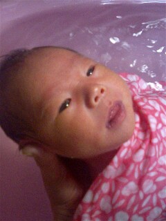 img20060323.jpg