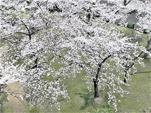 DSCN0147