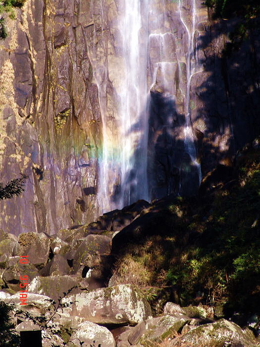 dsc00039.jpg