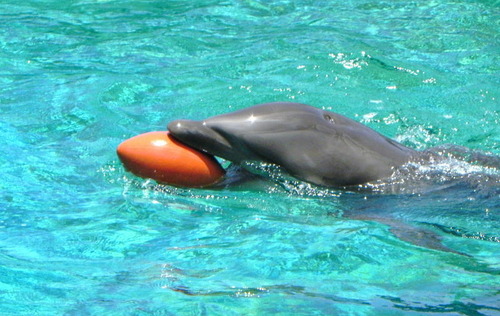 DSCN8307-800